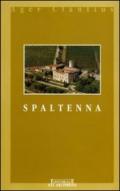 Spaltenna. (La Pieve e il suo piviere)