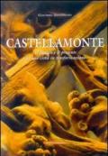 Castellamonte. Il passato e il presente di una città in trasformazione
