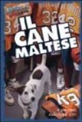 Il cane maltese