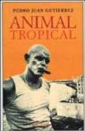 Animal tropical