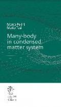 Many-body physics in condensed matter systems