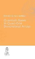 Quantum gases in quasi-one-domensional arrays