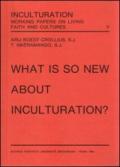 What is so new about inculturation?