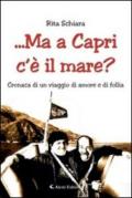 ... Ma a Capri c'è il mare? Cronaca di un viaggio di amore e di follia