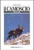 Il camoscio delle Alpi