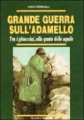 Grande guerra sull'Adamello. Tra i ghiacciai, alla quota delle aquile