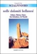 Scialpinismo nelle Dolomiti bellunesi. Schiara, Talvena, Tamer, San Sebastiano, col Visentin