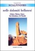 Scialpinismo nelle Dolomiti bellunesi. Schiara, Talvena, Tamer, San Sebastiano, col Visentin