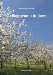 I ciliegi erano in fiore