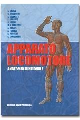 Apparato locomotore. Anatomia funzionale