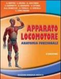 Apparato locomotore. Anatomia funzionale