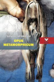 Opus metamorphicum