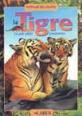 Tigre