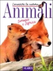 Animali. Europa e Africa