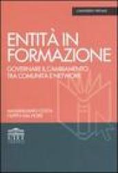 Entità in formazione. Governare il cambiamento tra comunità e network