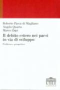 Il debito estero nei paesi in via di sviluppo. Problemi e prospettive