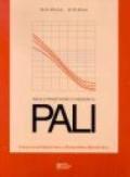 Pali. Analisi e progettazione