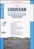 Liquesab. Procedure automatiche per valutare il rischio di liquefazione dei terreni sabbiosi. Con CD-ROM