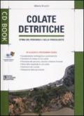 Colate detritiche. Stima del percorso e della pericolosità. Con CD-ROM