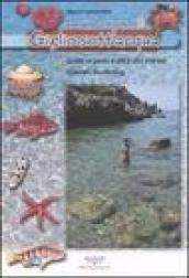 Giglio sott'acqua. Guida ai pesci e altra vita marina. Itinerari snorkeling. Con pinne e maschera. 2.