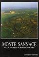Monte Sannace. Gli scavi dell'acropoli (1978-1983)