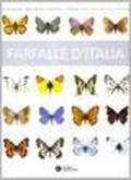 Farfalle d'Italia