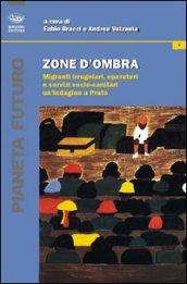 Zone d'ombra. Migranti irregolari, operatori e servizi socio-sanitari