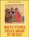 Breve storia degli arabi in Sicilia