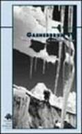 Gasherbrum IV. La splendida cima
