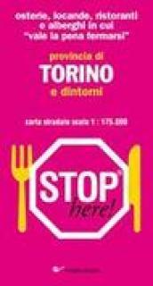 Provincia di Torino e dintorni 1:175.000