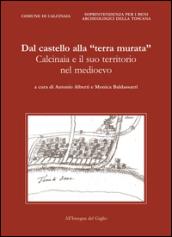 Dal castello alla «terra murata». Calcinaia e il suo territorio nel Medioevo