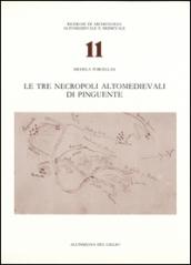 Le tre necropoli altomedievali di Pinguente