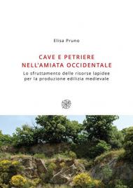 Cave e petriere nell'Amiata occidentale. Lo sfruttamento delle risorse lapidee per la produzione edilizia medievale