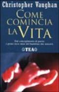 Come comincia la vita