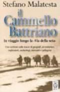 Il cammello battriano