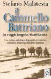 Il cammello battriano