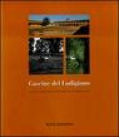 Cascine del lodigiano. Storia, vita e architettura di un paesaggio. Ediz. illustrata