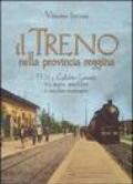 Il treno nella provincia reggina. FFSS e calabro-lucane tra storia, aneddoti e vecchie immagini