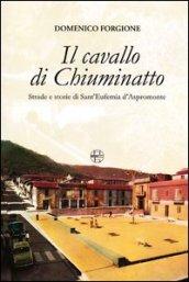 Il cavallo di Chiuminatto. Strade e storie di Sant'Eufemia d'Aspromonte