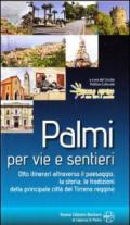 Palmi per vie e sentieri. Otto itinerari attraverso il paesaggio, la storia, le tradizioni della principale città del Tirreno Reggino