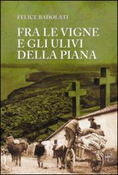 Fra le vigne e gli ulivi della piana