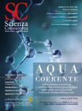 Scienza e conoscenza. Vol. 75: Acqua coerente.