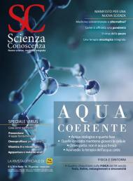 Scienza e conoscenza. Vol. 75: Acqua coerente.