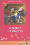 Il segreto del labirinto