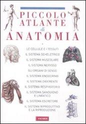 Il piccolo atlante di anatomia. Ediz. illustrata