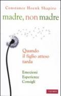 Madre, non madre. Quando il figlio atteso tarda. Emozioni, esperienze, consigli