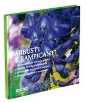 Arbusti e rampicanti