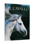 Il cavallo