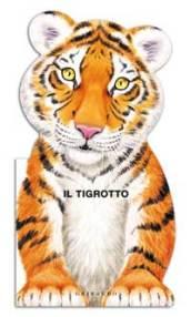 Il tigrotto