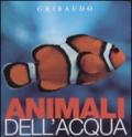 Animali dell'acqua. Osservo e imparo